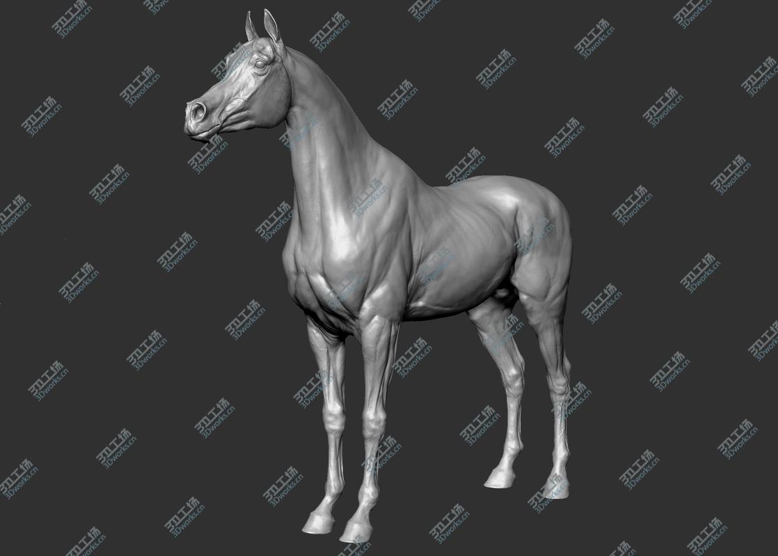 images/goods_img/20210113/3D Horse Collection Vfx Full Cinematic Realistic Zbrush Sculpt 3D model/5.jpg